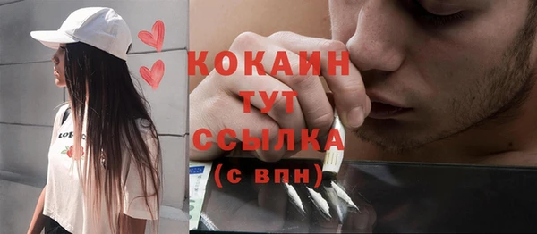 сатива Богородск