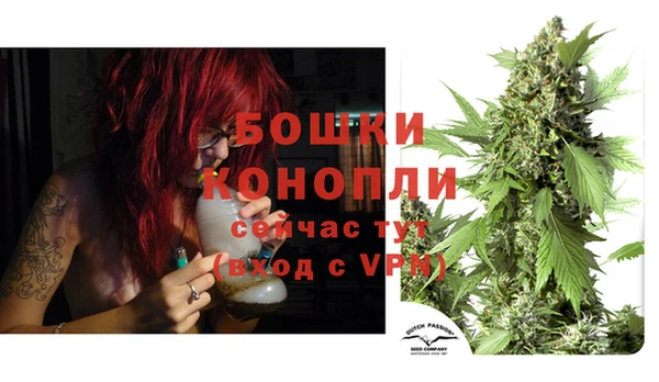 сатива Богородск