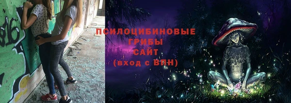 таблы Богданович