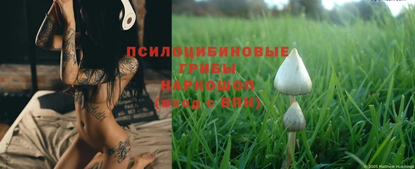таблы Богданович
