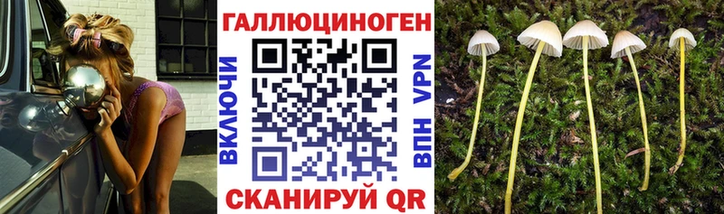 Купить  Володарск  Галлюциногенные грибы Cubensis 
